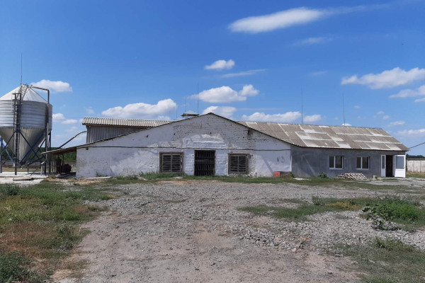 Продаж птахофабрики в Черкаській області